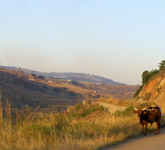 Dualsport Routes in  Swaziland