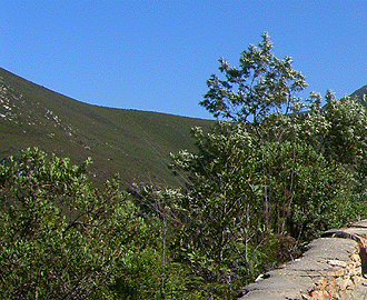 Knysna Mountain Trail 273km