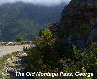 Knysna Mountain Trail 273km