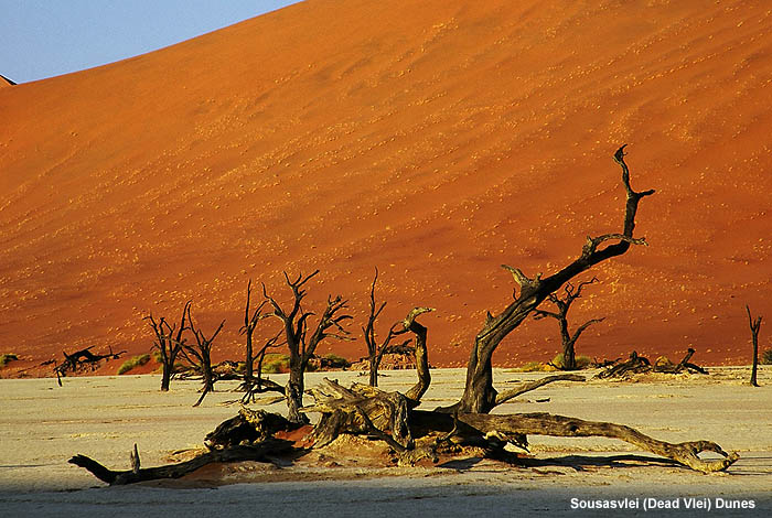 Deadvlei Dunes