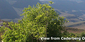 Grootriver Pass from Cederberg Oasis